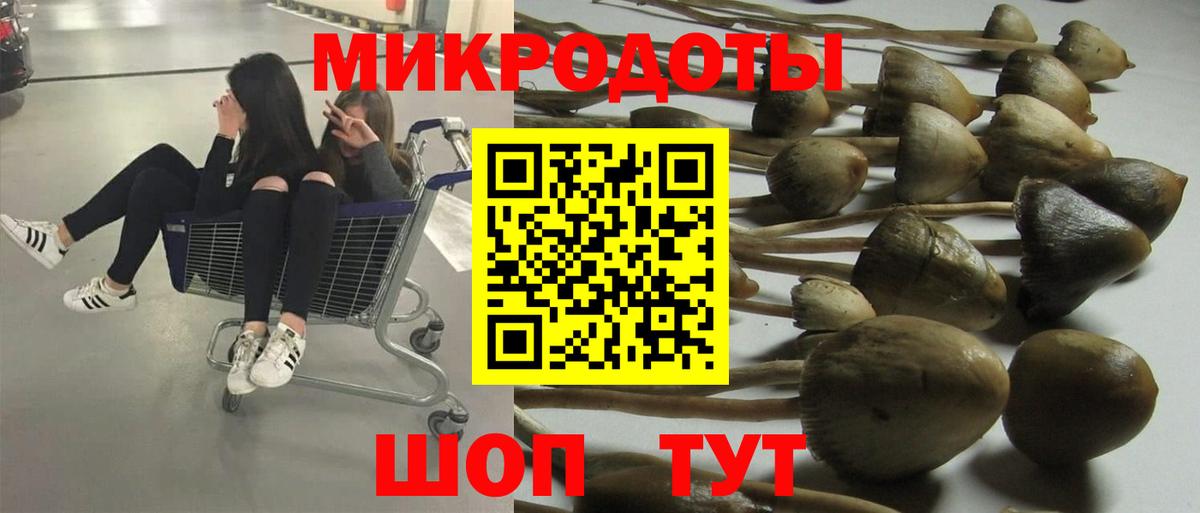 Галлюциногенные грибы Cubensis Камышлов