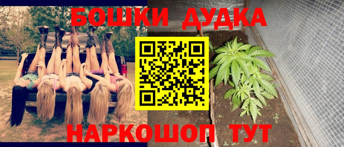 МАРИХУАНА сатива Камышлов